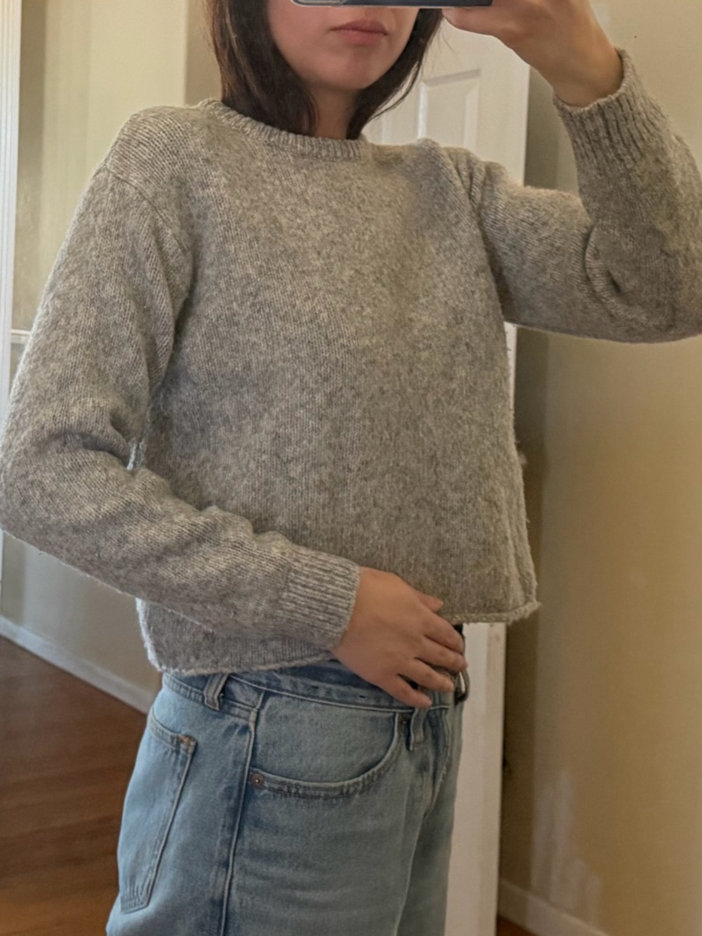 Women's Cropped Crewneck Sweater - Gray